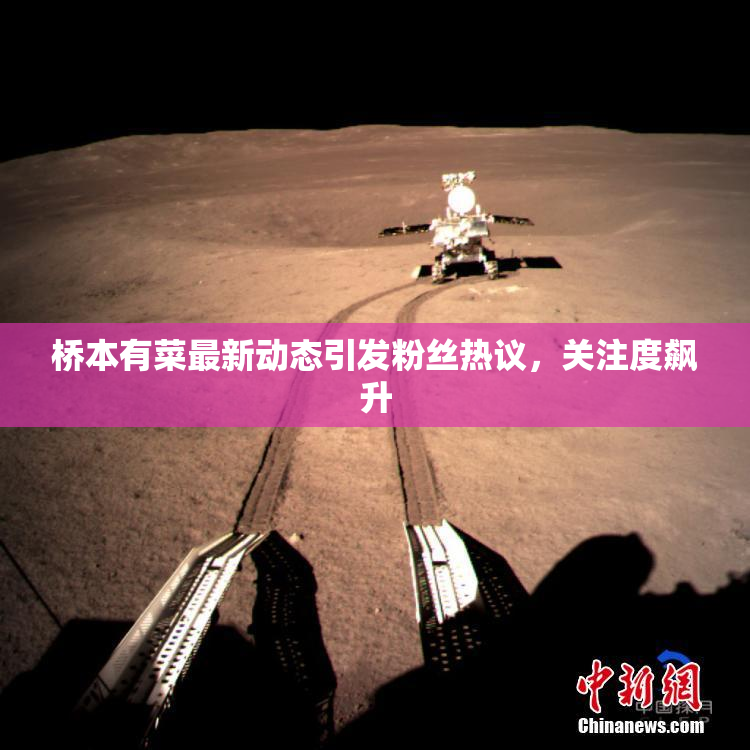 桥本有菜最新动态引发粉丝热议，关注度飙升