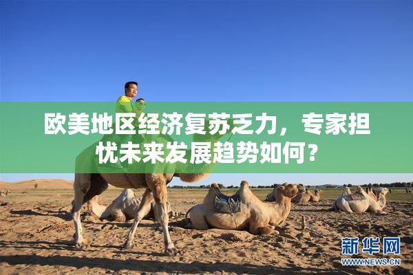 欧美地区经济复苏乏力，专家担忧未来发展趋势如何？