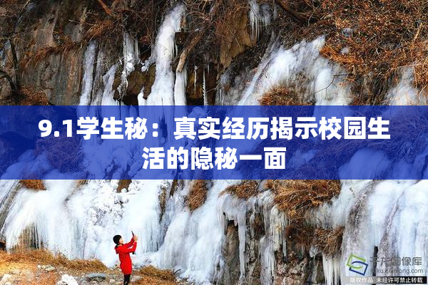 9.1学生秘：真实经历揭示校园生活的隐秘一面