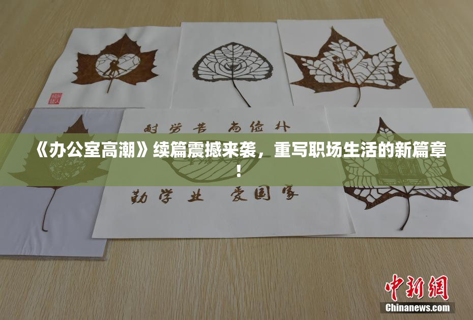 《办公室高潮》续篇震撼来袭，重写职场生活的新篇章！