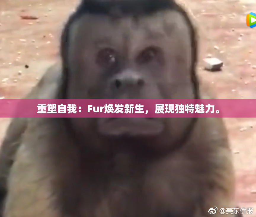 重塑自我：Fur焕发新生，展现独特魅力。
