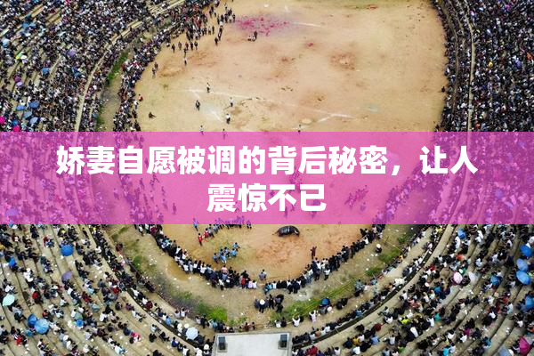 娇妻自愿被调的背后秘密，让人震惊不已