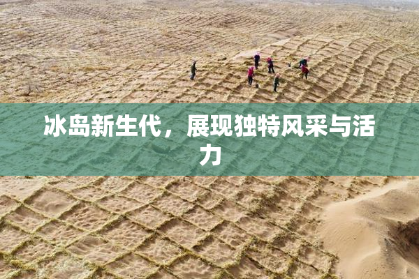 冰岛新生代，展现独特风采与活力