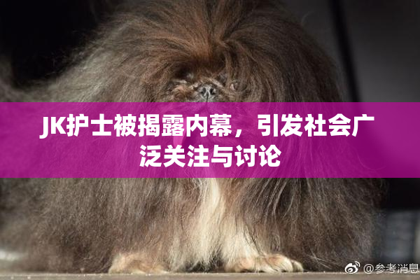 JK护士被揭露内幕，引发社会广泛关注与讨论