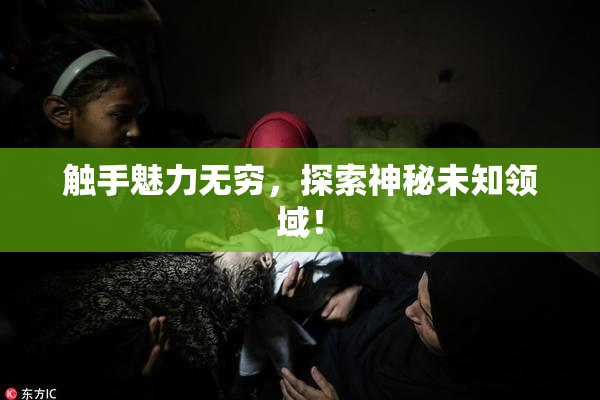 触手魅力无穷，探索神秘未知领域！