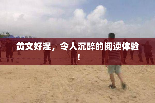 黄文好湿，令人沉醉的阅读体验！