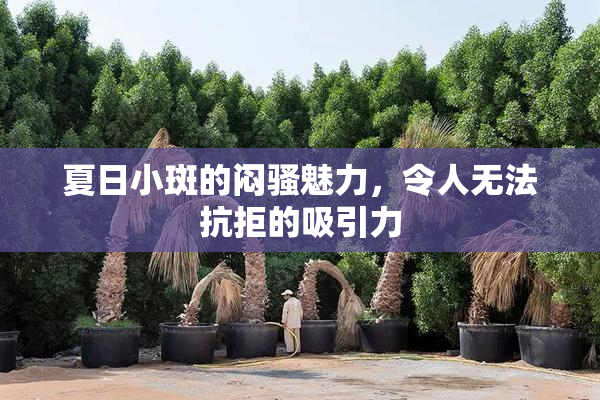夏日小斑的闷骚魅力，令人无法抗拒的吸引力