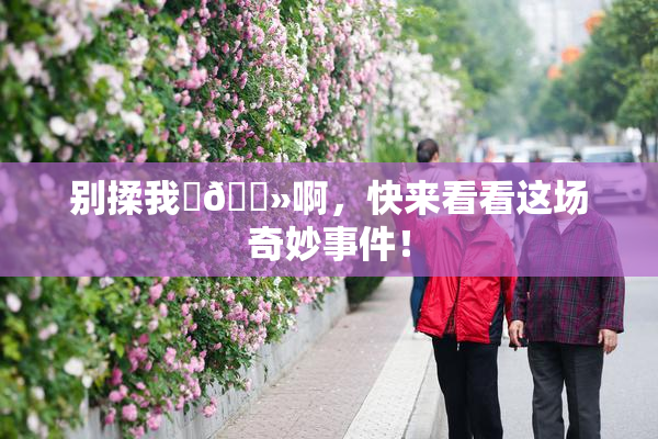 别揉我‌🐻啊，快来看看这场奇妙事件！