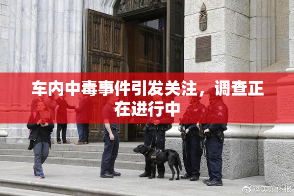车内中毒事件引发关注，调查正在进行中