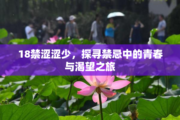 18禁涩涩少，探寻禁忌中的青春与渴望之旅