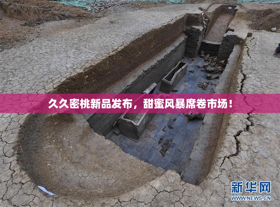 久久密桃新品发布，甜蜜风暴席卷市场！