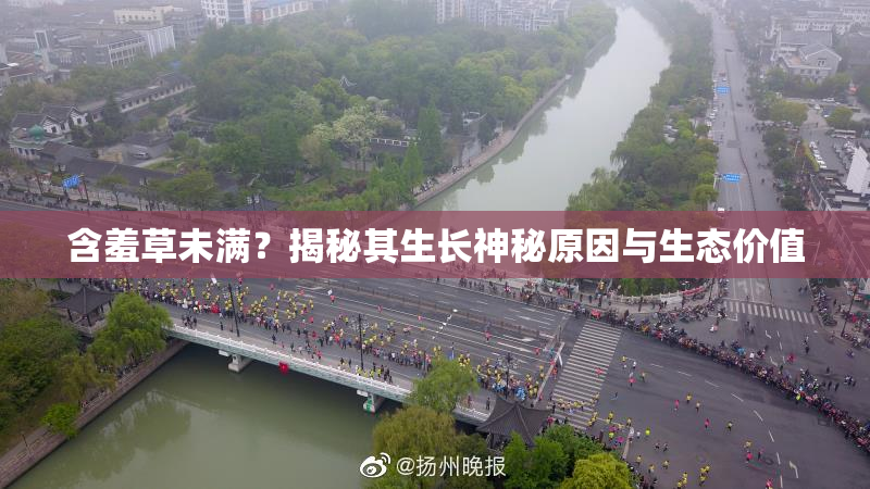 含羞草未满？揭秘其生长神秘原因与生态价值
