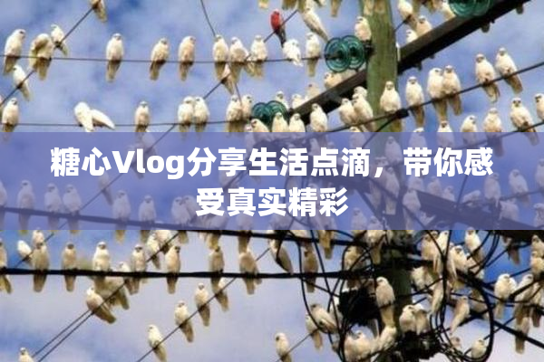糖心Vlog分享生活点滴，带你感受真实精彩