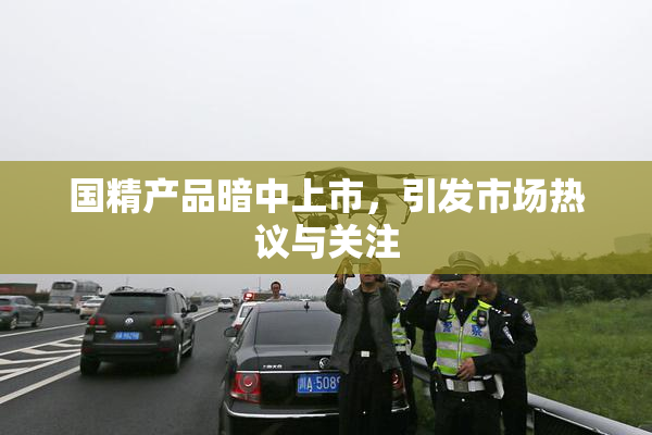 国精产品暗中上市，引发市场热议与关注