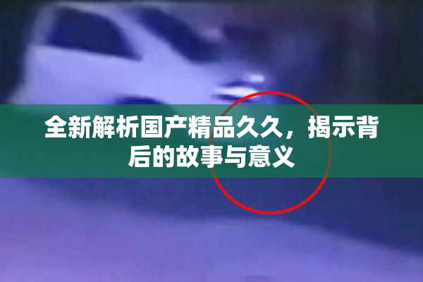 全新解析国产精品久久，揭示背后的故事与意义