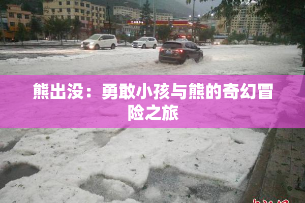 熊出没：勇敢小孩与熊的奇幻冒险之旅