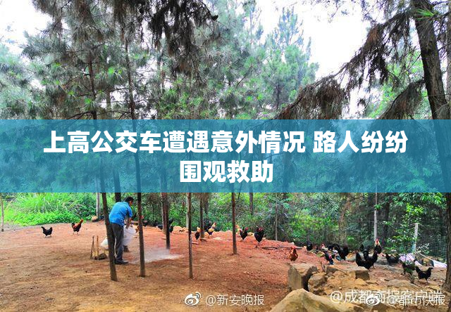上高公交车遭遇意外情况 路人纷纷围观救助