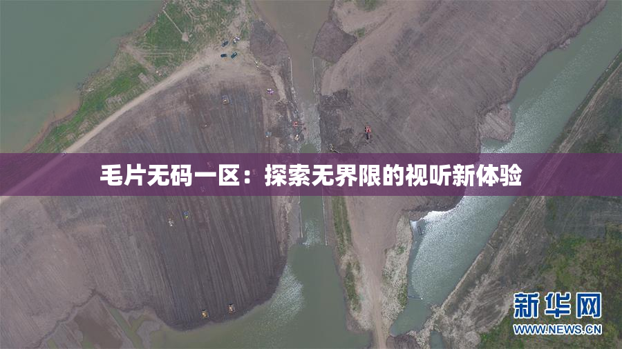 毛片无码一区：探索无界限的视听新体验
