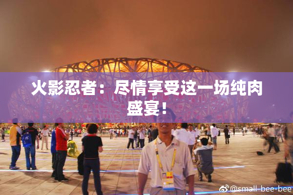火影忍者：尽情享受这一场纯肉盛宴！