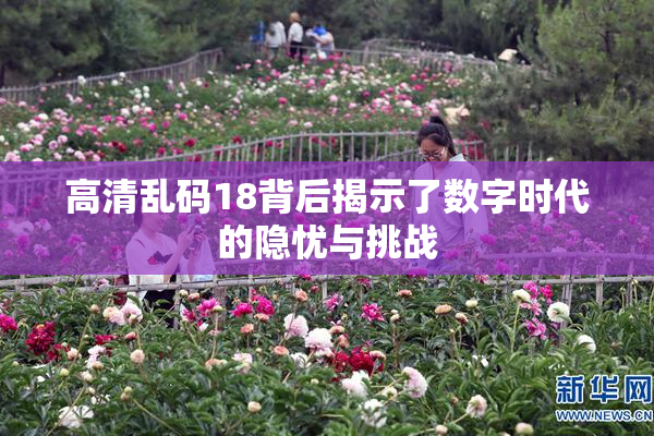 高清乱码18背后揭示了数字时代的隐忧与挑战