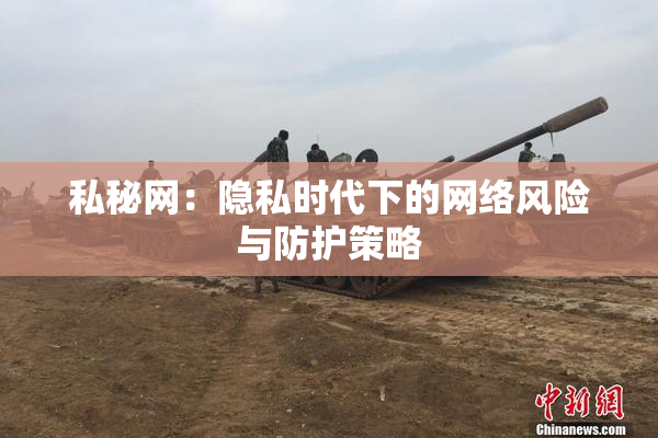 私秘网：隐私时代下的网络风险与防护策略