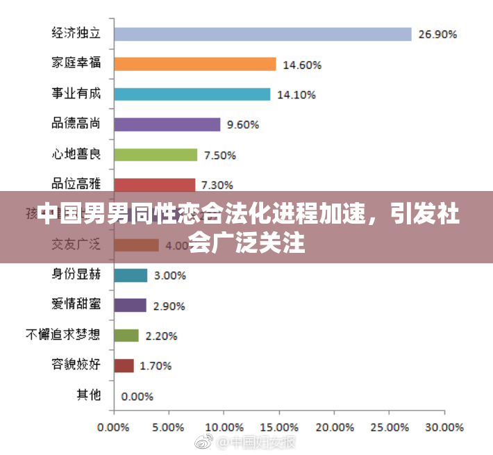中国男男同性恋合法化进程加速，引发社会广泛关注