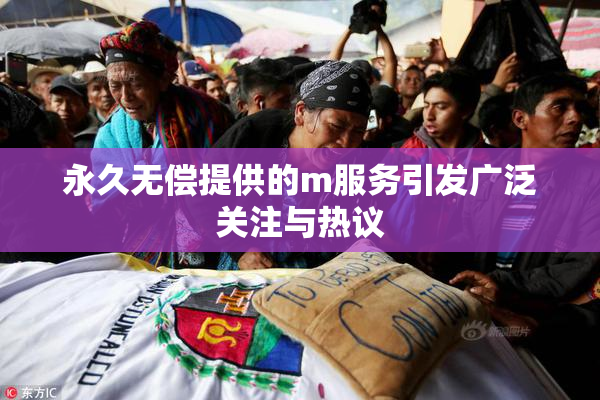 永久无偿提供的m服务引发广泛关注与热议