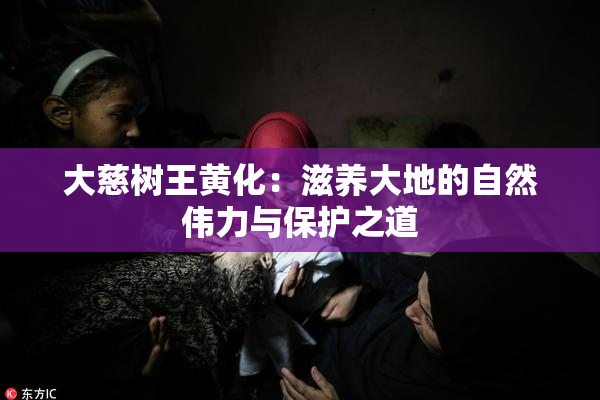 大慈树王黄化：滋养大地的自然伟力与保护之道