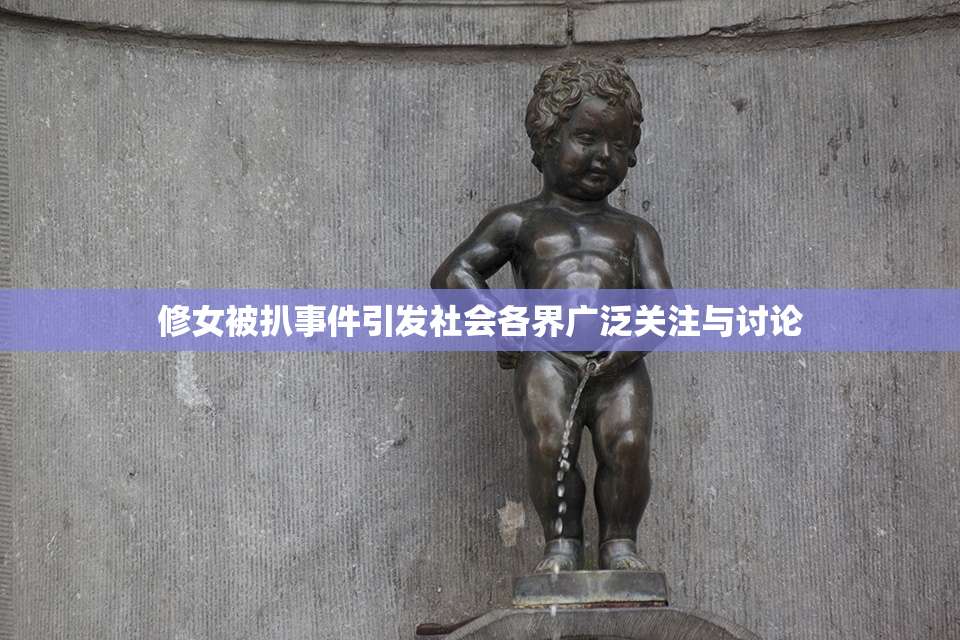 修女被扒事件引发社会各界广泛关注与讨论