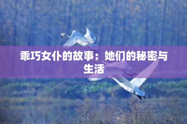 乖巧女仆的故事：她们的秘密与生活