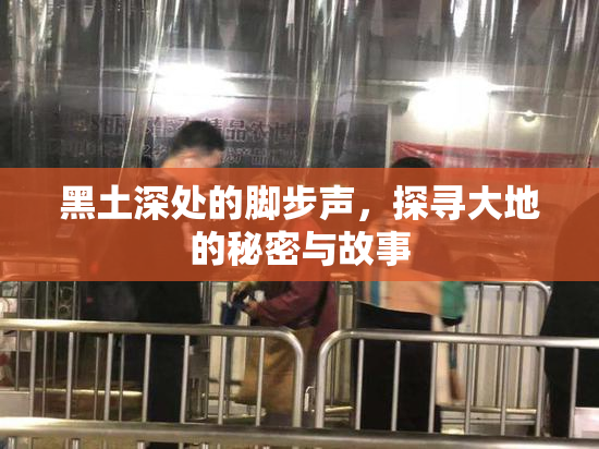 黑土深处的脚步声，探寻大地的秘密与故事