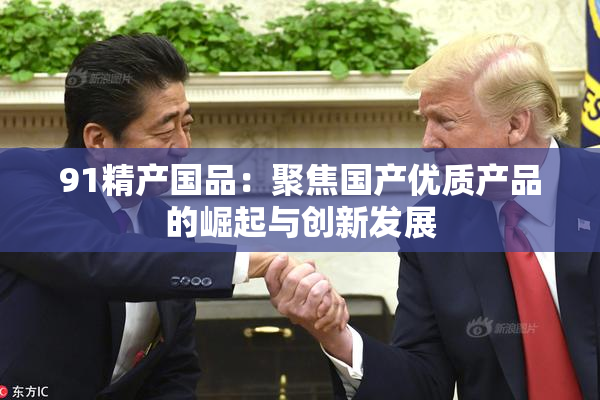 91精产国品：聚焦国产优质产品的崛起与创新发展