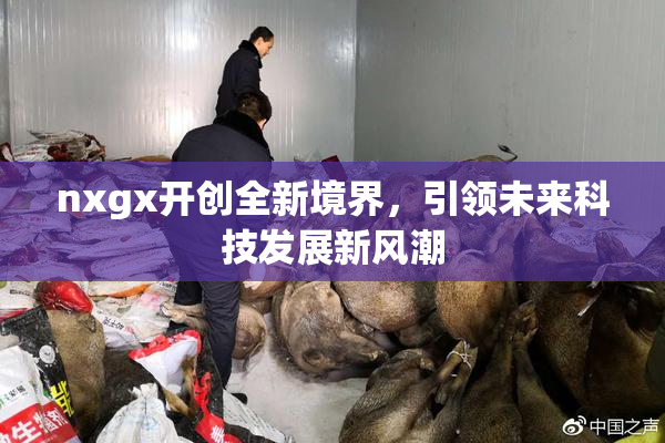 nxgx开创全新境界，引领未来科技发展新风潮