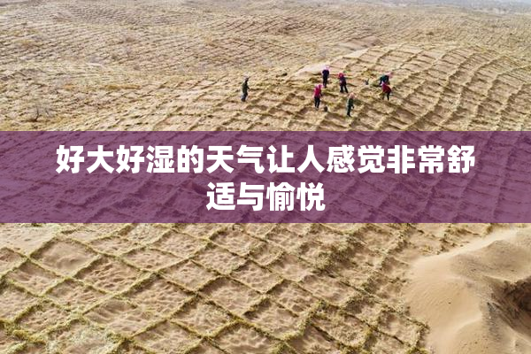 好大好湿的天气让人感觉非常舒适与愉悦