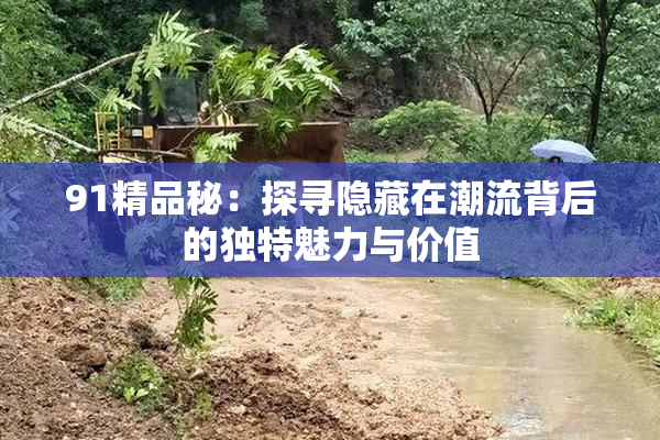 91精品秘：探寻隐藏在潮流背后的独特魅力与价值