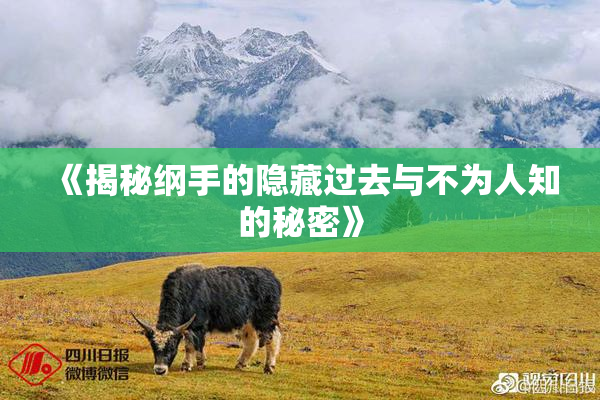 《揭秘纲手的隐藏过去与不为人知的秘密》