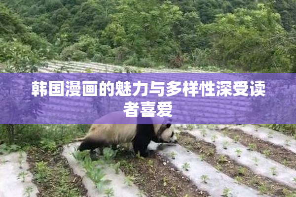 韩国漫画的魅力与多样性深受读者喜爱