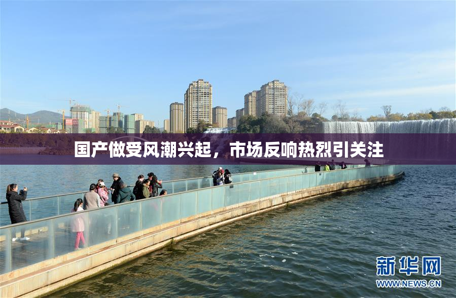 国产做受风潮兴起，市场反响热烈引关注