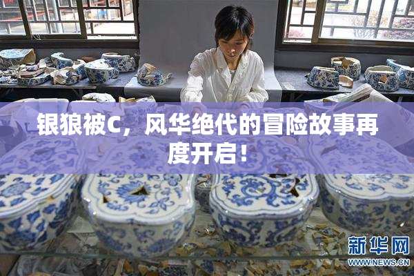 银狼被C，风华绝代的冒险故事再度开启！