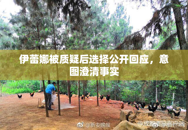 伊蕾娜被质疑后选择公开回应，意图澄清事实