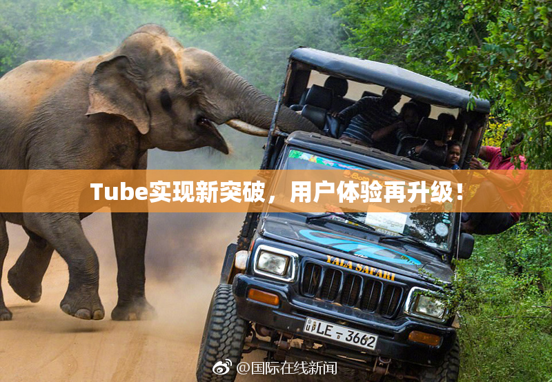 Tube实现新突破，用户体验再升级！