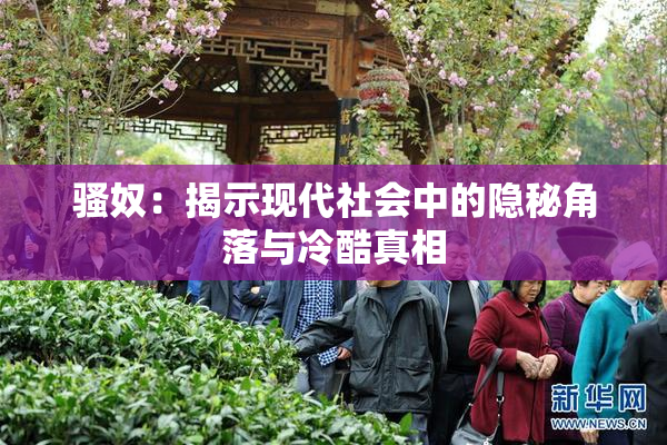 骚奴：揭示现代社会中的隐秘角落与冷酷真相