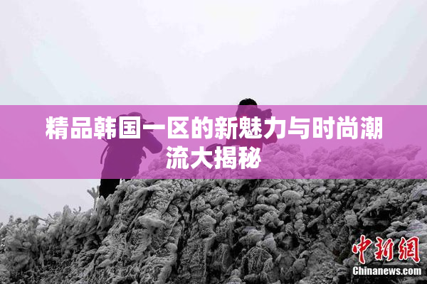 精品韩国一区的新魅力与时尚潮流大揭秘