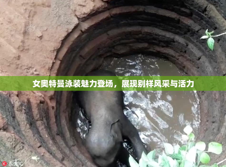 女奥特曼泳装魅力登场，展现别样风采与活力