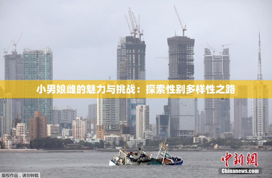 小男娘雌的魅力与挑战：探索性别多样性之路