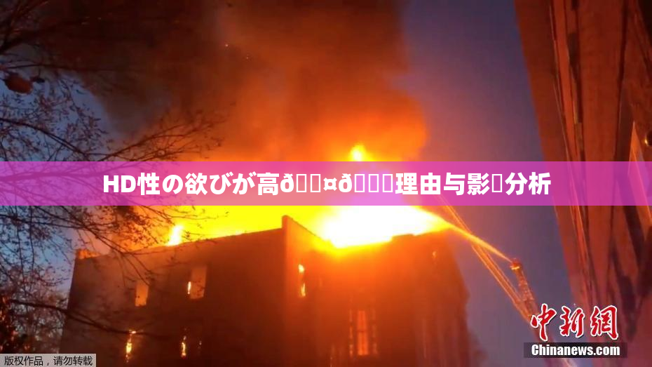 HD性の欲びが高🖤🌃理由与影響分析