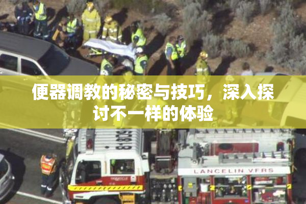 便器调教的秘密与技巧，深入探讨不一样的体验