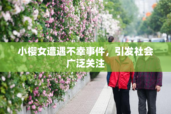 小樱女遭遇不幸事件，引发社会广泛关注
