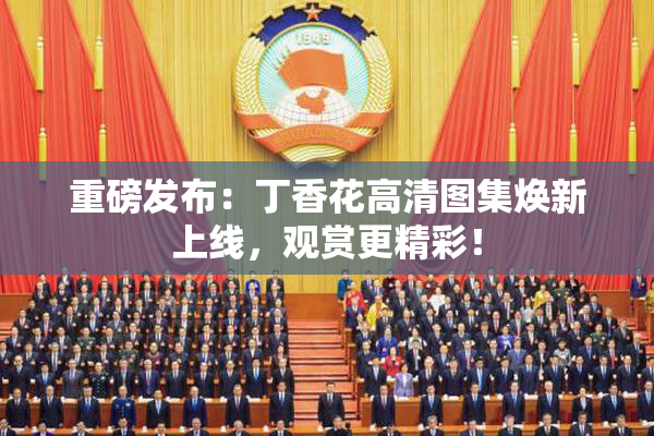 重磅发布：丁香花高清图集焕新上线，观赏更精彩！