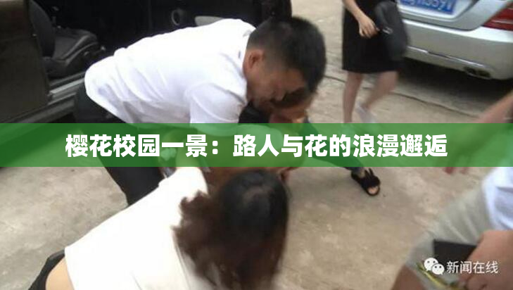 樱花校园一景：路人与花的浪漫邂逅